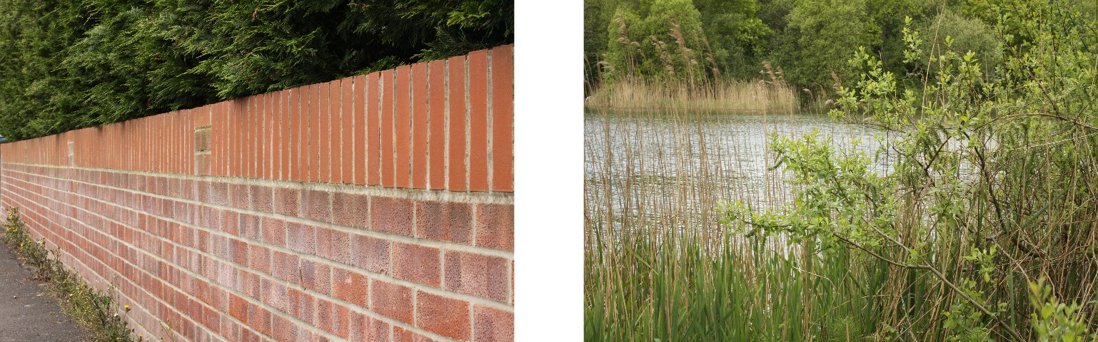 deep-depth_of_field
