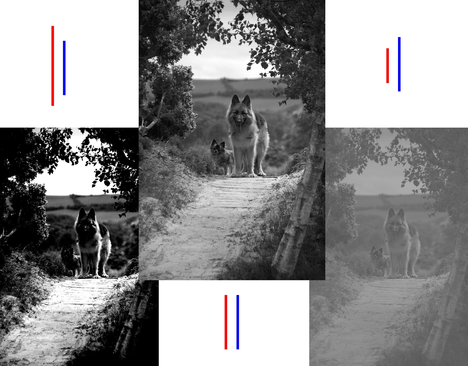 pictures showing dynamic range