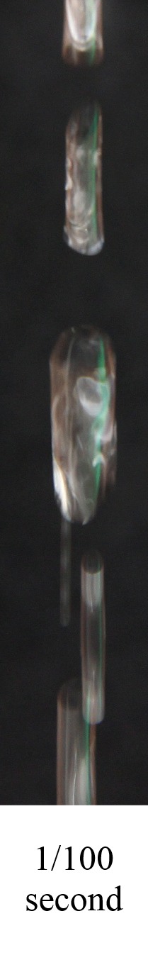 exposure at 1/100 sec