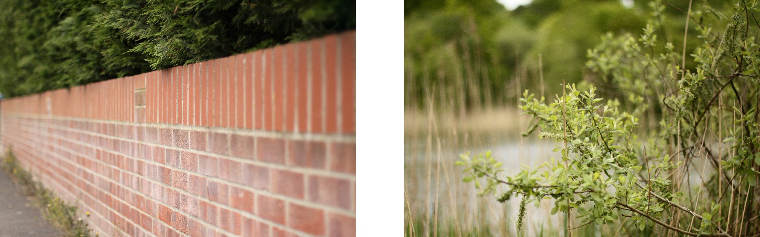 small-depth_of_field