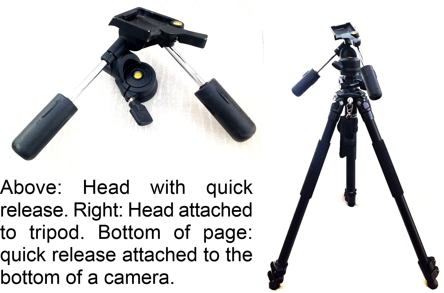tripod_with_head